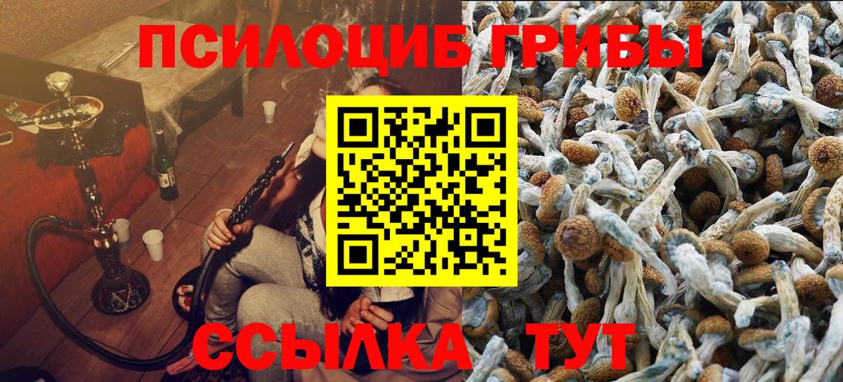 дарнет шоп  Вход с VPN  Таганрог  Галлюциногенные грибы Cubensis  Галлюциногенные грибы Psilocybe 